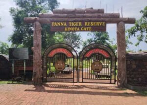 panna tiger reserve 1