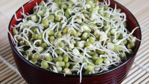 mung bean sprouts 480x270 1