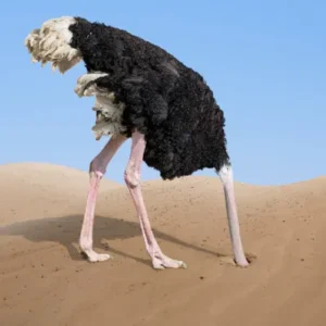 Why ostriches bury their head in the sand know the science behind it 5