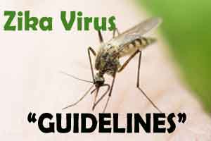 Zika Virus Guideline