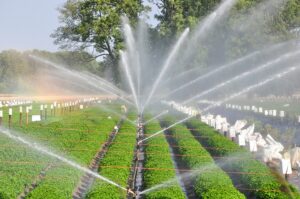 Micro Irrigation Scheme