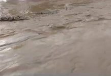 तेज बारिश से क्षेत्रीय नदियां उफान पर, सिंघाड़ी नदी में आया उफान, खतरे के निशान से ऊपर है पानी