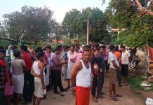 Chhatarpur News: सांप काटने से 24 घंटे में तीन बच्चों की मौत