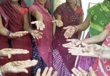 आलीराजपुर में स्वीप गतिविधि: मनमोहक रंगोली बनाकर मतदान का संकल्प लिया, अन्य को प्रेरित किया