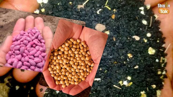 images - 2024-02-29T143249.466