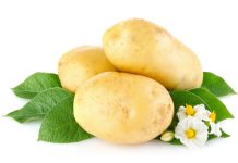 International Potato Day