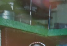 Woman Dies Due to Falling of Tree : धार में पेड़ गिरने से महिला की मौत, एक व्यक्ति घायल!