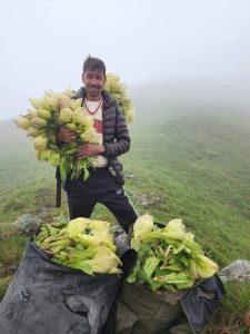 सौजन्य - श्री लोकेन्द्रसिंह विष्ट