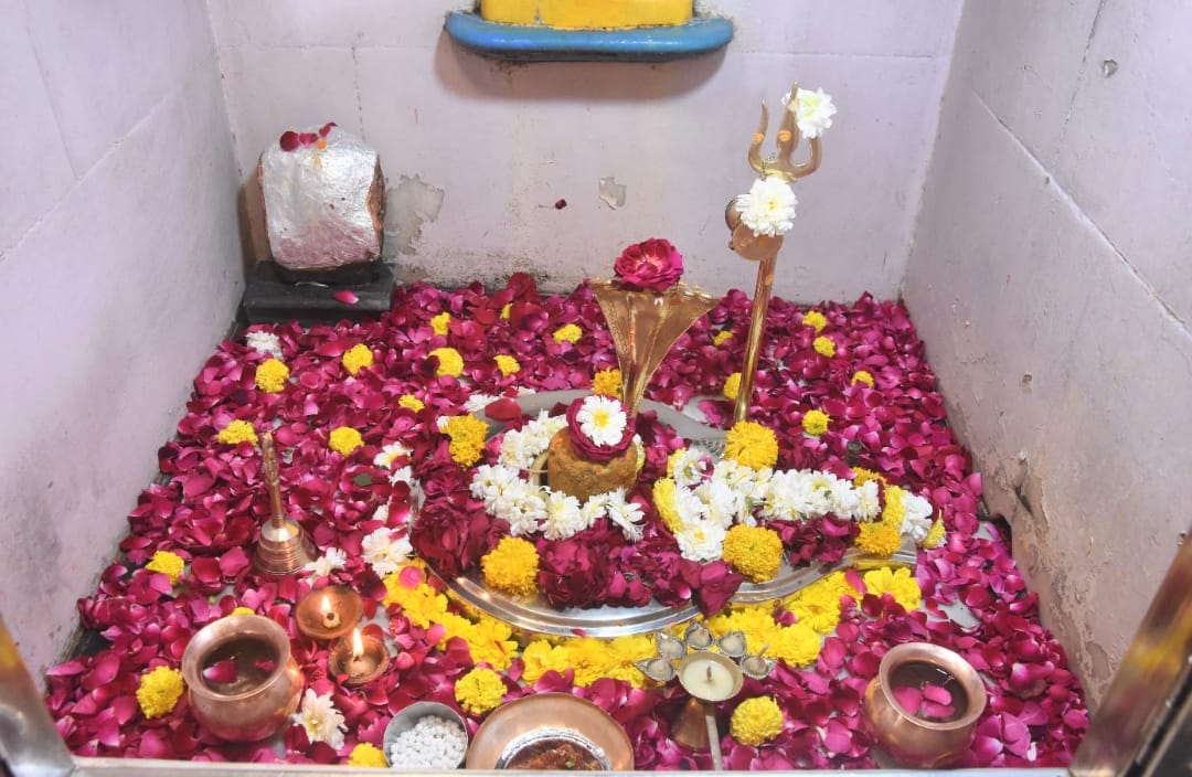 IMG 20250201 WA0167 IMG 20250201 WA0167