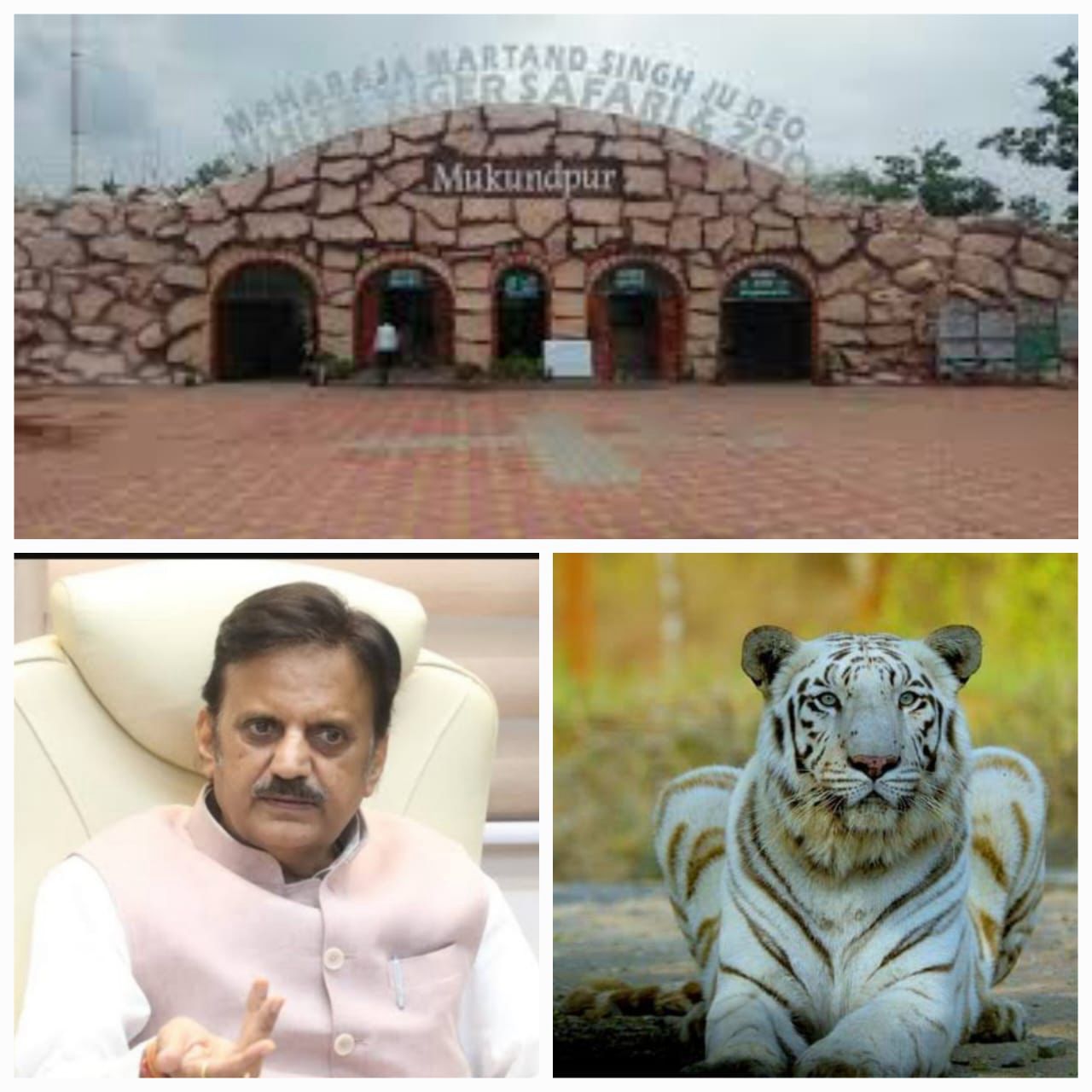 WhatsApp Image 2025-02-01 at 15.58.20