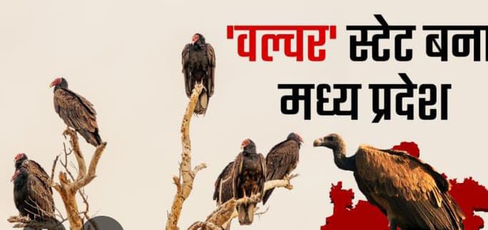 WhatsApp Image 2025-02-26 at 21.40.47