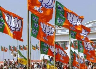 प्रदेश भाजपा कार्यसमिति का गठन दो चरणों में, रणनीति से साधा जाएगा संगठन संतुलन Bjp