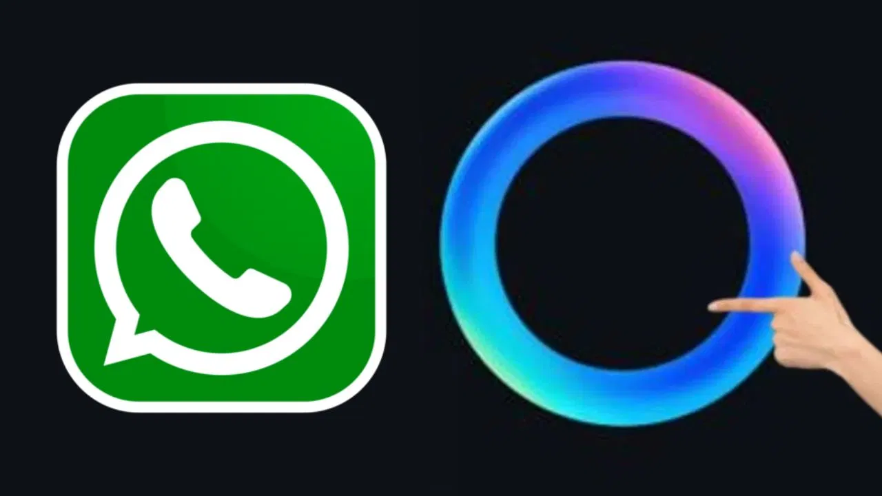 WhatsApp Features WhatsApp Features