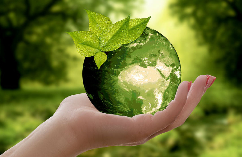 World Earth Day 2025 World Earth Day 2025