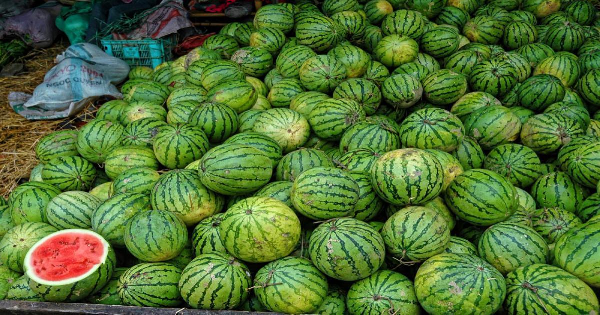 1745309551-watermelon-rate-today-in-haryana-april-22-2025-6388
