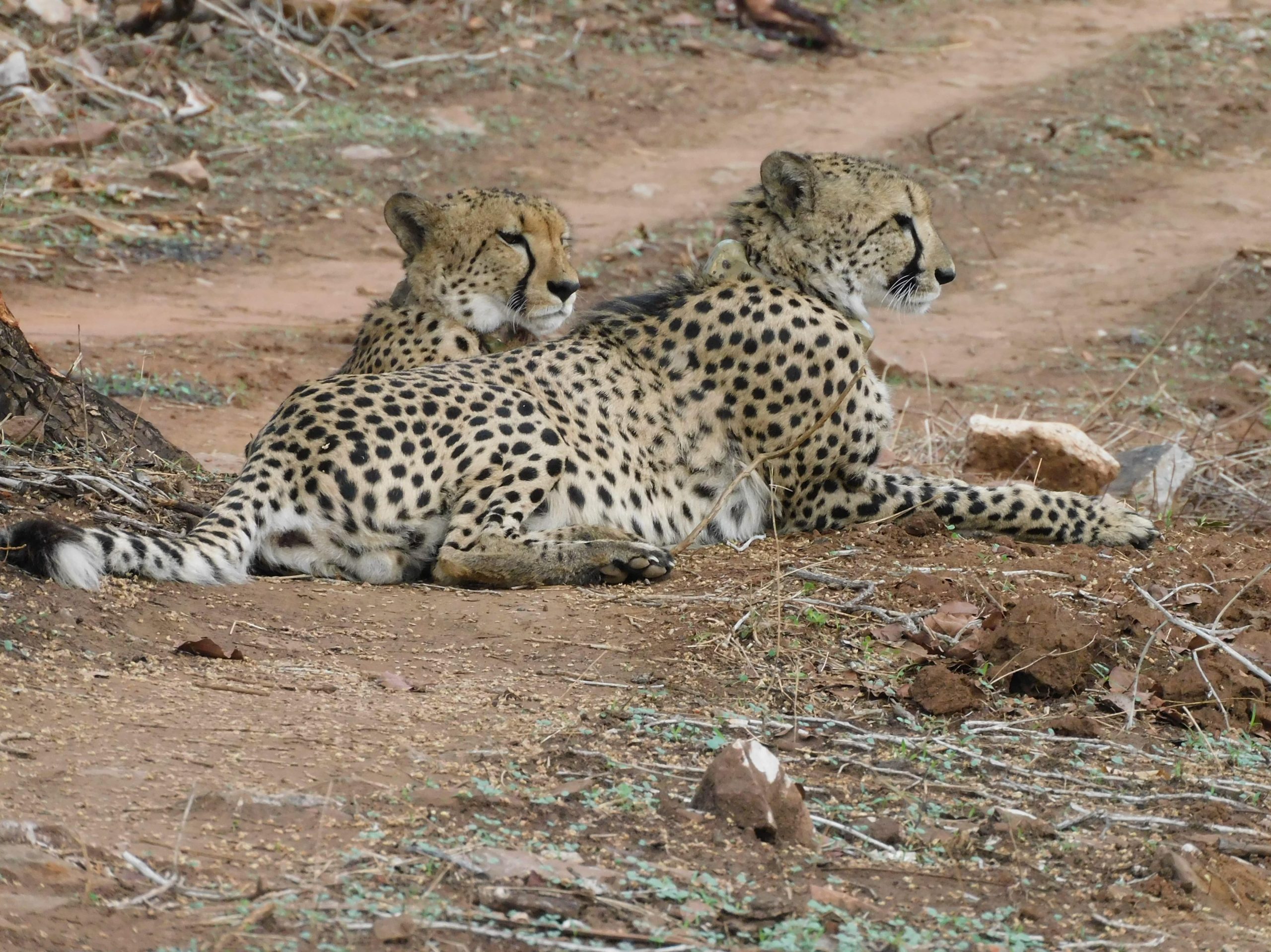 IMG 20250531 WA0133 scaled