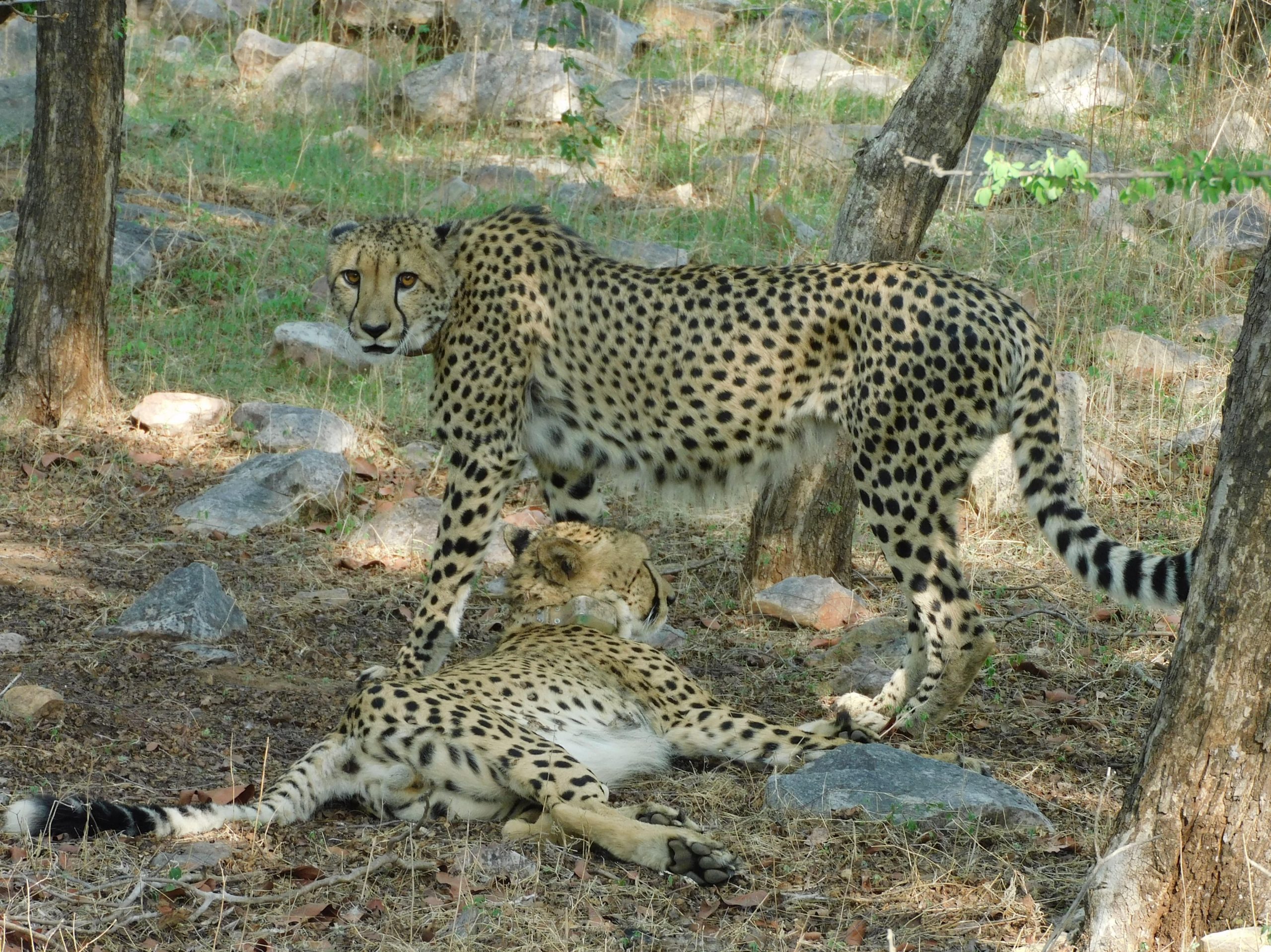 IMG 20250531 WA0135 scaled