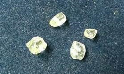 WhatsApp Image 2025-05-12 at 17.24.17