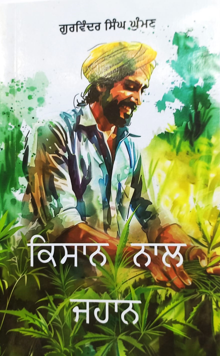 IMG 20250603 WA0045 IMG 20250603 WA0045