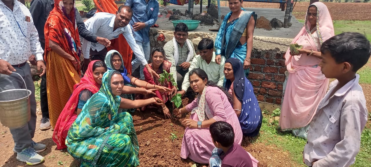 IMG 20250605 WA0158 IMG 20250605 WA0158