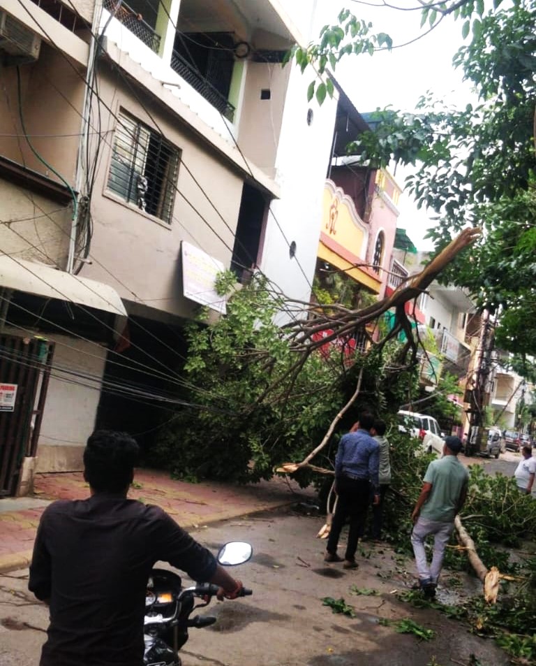 IMG 20250613 WA0120 IMG 20250613 WA0120