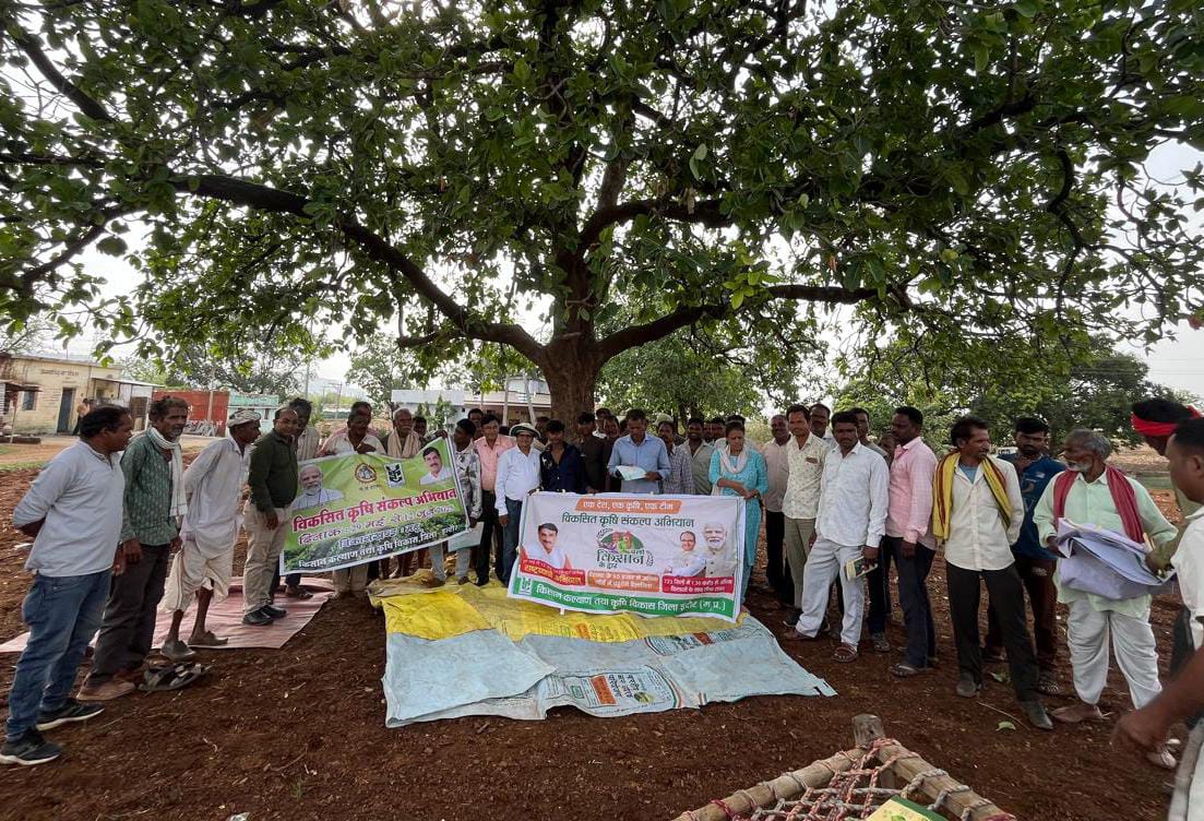 WhatsApp Image 2025-06-01 at 19.02.56