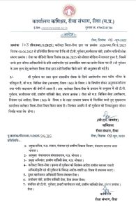 WhatsApp Image 2025 06 09 at 12.02.33