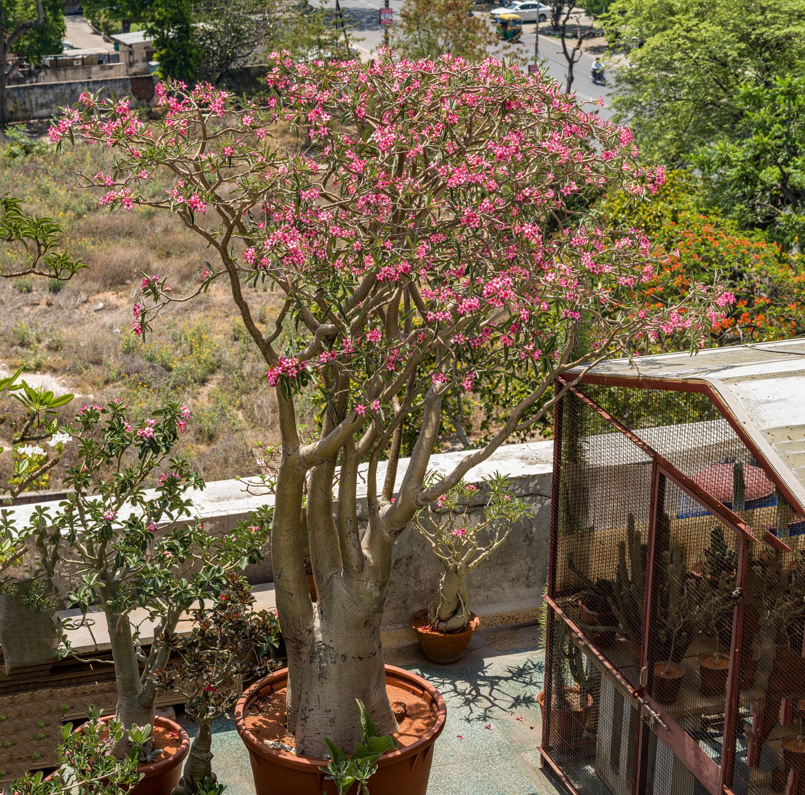 WhatsApp Image 2025 06 28 at 12.11.40 WhatsApp Image 2025 06 28 at 12.11.40