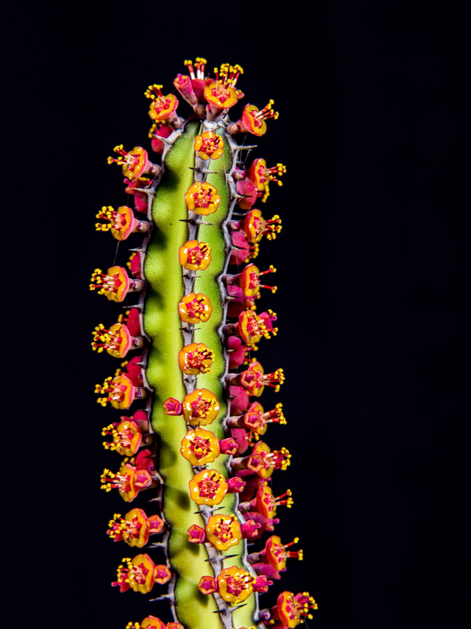 WhatsApp Image 2025 06 28 at 12.11.41 WhatsApp Image 2025 06 28 at 12.11.41