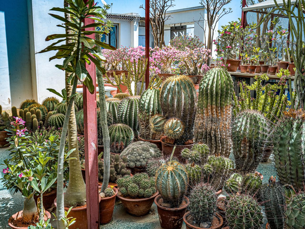 WhatsApp Image 2025 06 28 at 12.11.44 WhatsApp Image 2025 06 28 at 12.11.44