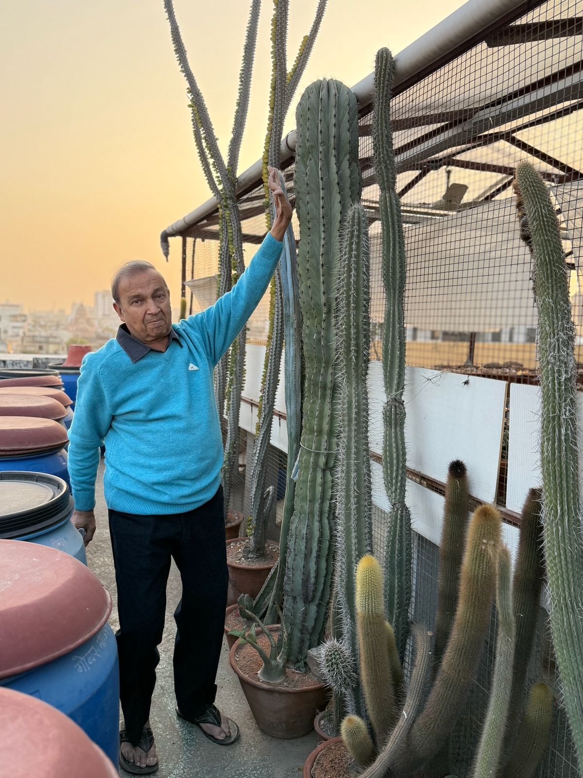 WhatsApp Image 2025 06 28 at 14.11.15 WhatsApp Image 2025 06 28 at 14.11.15