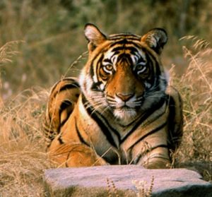 WhatsApp Image 2025 06 28 at 17.24.15 1