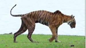 WhatsApp Image 2025 06 28 at 17.24.16