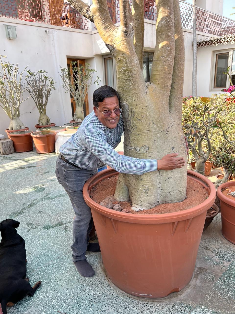 WhatsApp Image 2025 06 28 at 19.35.54 भारत के सबसे बड़े अडेनियम संग लेखक