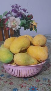 WhatsApp Image 2025 06 30 at 13.03.19