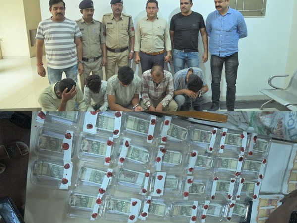 collage (19) (28) (1)