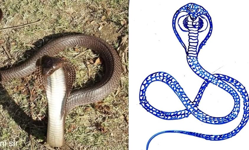 454478026_26276834255264319_7115237730882790794_n