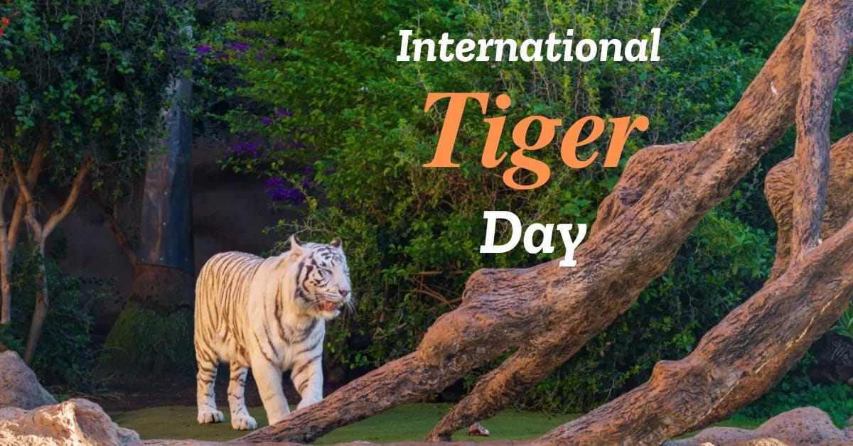 IMG 20250729 WA0110 IMG 20250729 WA0110