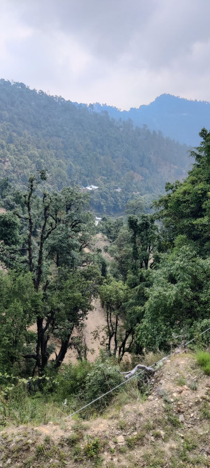 WhatsApp Image 2025 07 01 at 15.51.56