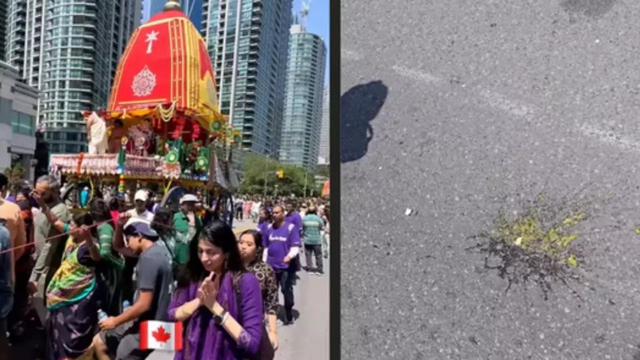 WhatsApp Image 2025-07-15 at 12.42.04 PM