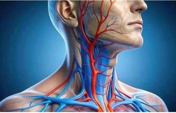 Brain Stroke and Heart Attack Brain Stroke and Heart Attack