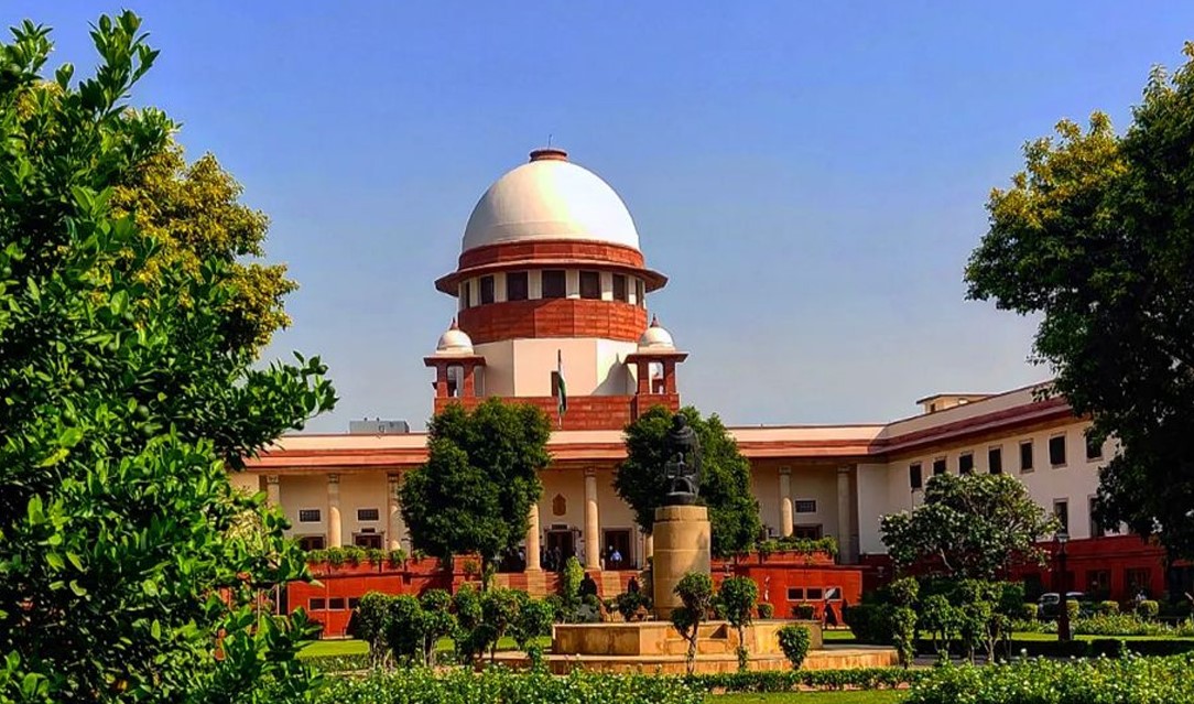 WhatsApp Image 2025-07-24 at 13.14.31