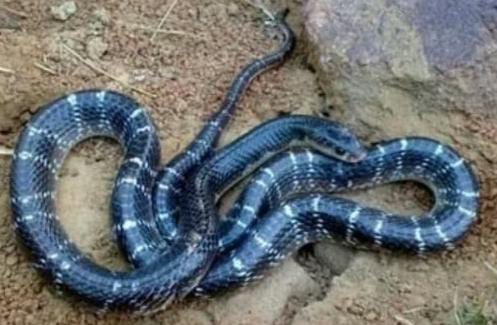 WhatsApp Image 2025 07 26 at 22.11.50