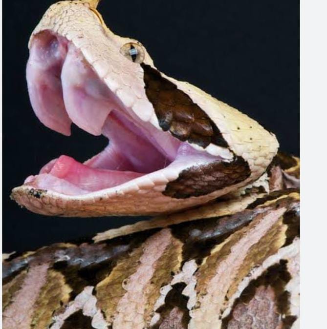 WhatsApp Image 2025 07 26 at 22.11.51 1