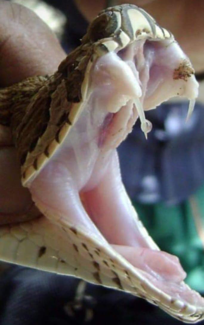 WhatsApp Image 2025 07 26 at 22.11.51