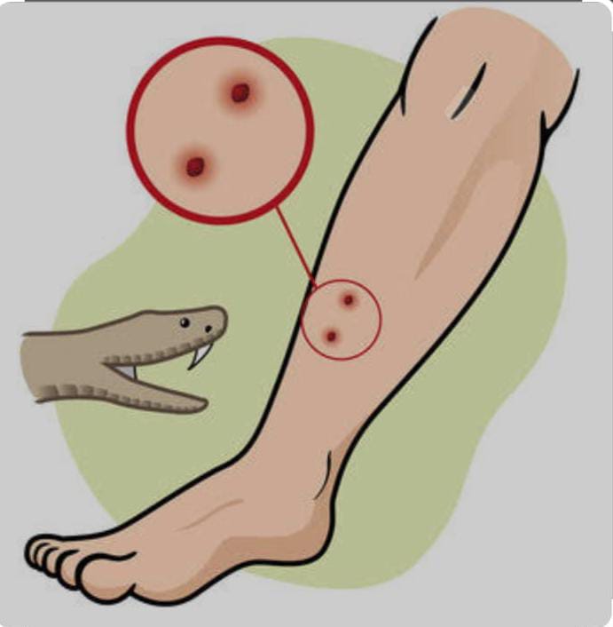 WhatsApp Image 2025 07 26 at 22.11.52 3