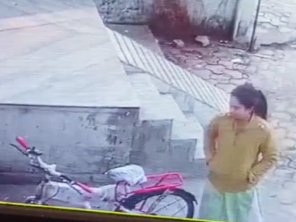 b7c46ade fe66 4d60 b87a a40969453082 1671621529941 b7c46ade fe66 4d60 b87a a40969453082 1671621529941