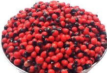 Coral Bead:अगर आप इस गलतफहमी में हैं कि रत्ती के बीज खास भार के होते हैं तो माफ कीजियेगा—- Coral Bead