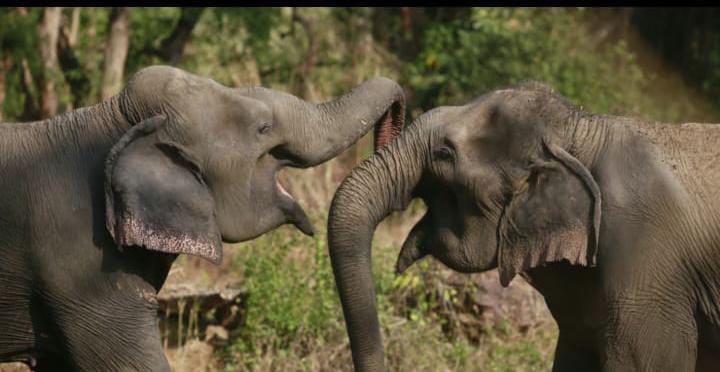 71390d26 e635 4c83 bf60 20bc24471719 71390d26 e635 4c83 bf60 20bc24471719