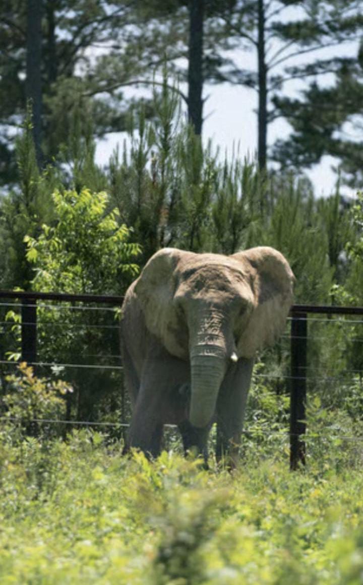 90bb0ff8 c4fa 4ad0 8f78 673f6893bfe5 90bb0ff8 c4fa 4ad0 8f78 673f6893bfe5